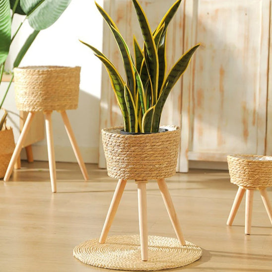 cache pot sur pied