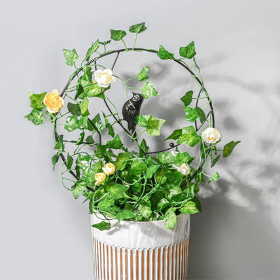 tuteur plante grimpante