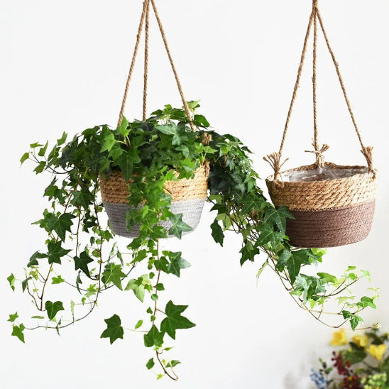 LIERRE DANS UN CACHE POT EN CORDE DE JUTE 
