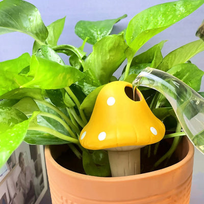 olla jaune