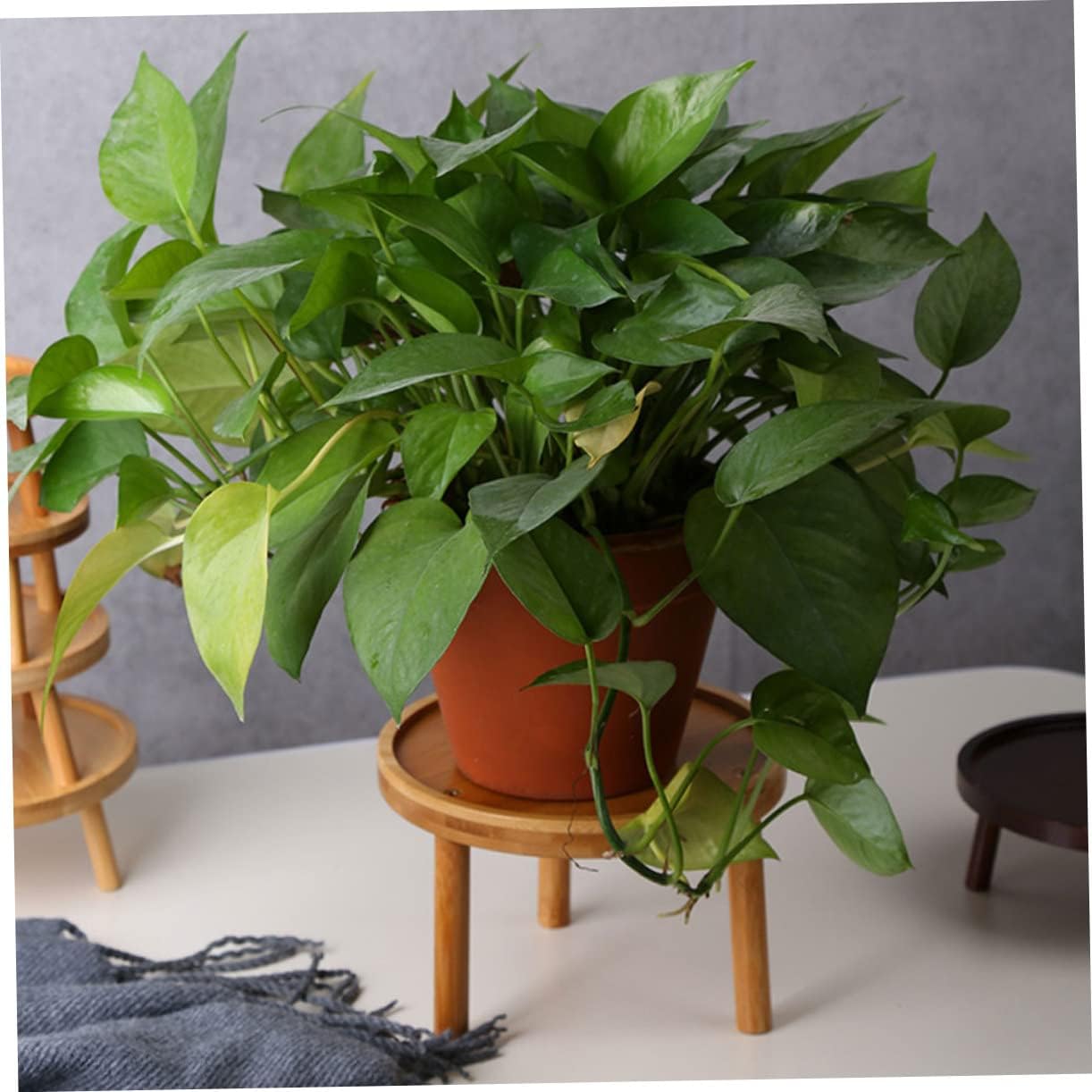 piedestal pour plante bois naturel