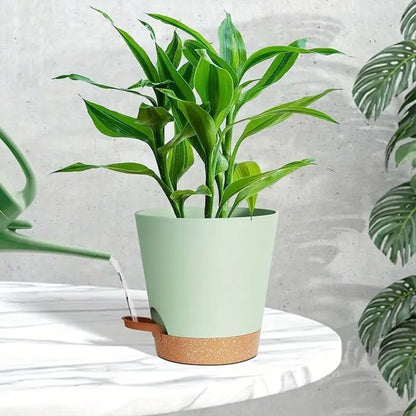 pot de fleur arrosage auto