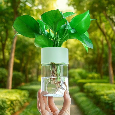 pot de fleur hydroponie