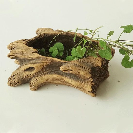 Pot de fleur interieur 