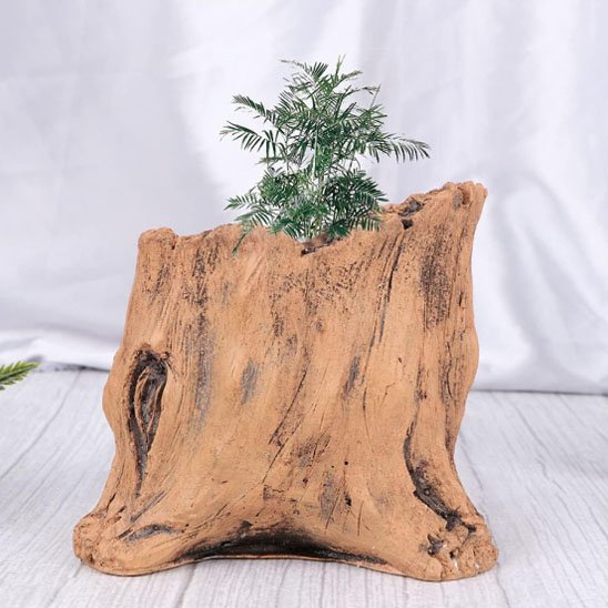 Pot de fleur interieur 