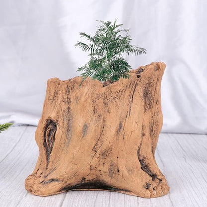Pot de fleur interieur 