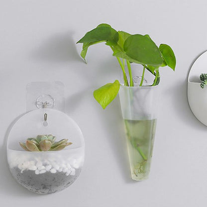 Pot de fleur interieur succulentes hydroponie