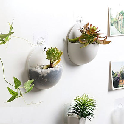 Pot de fleur interieur succulentes