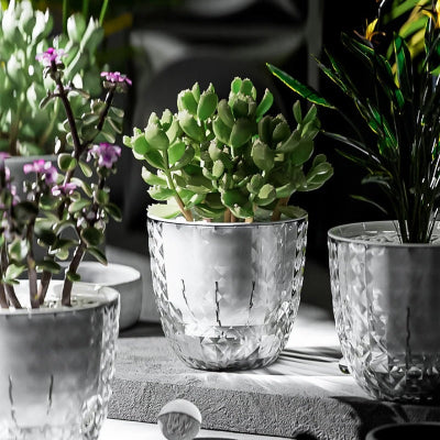 Pot de fleur transparent arrosage auto