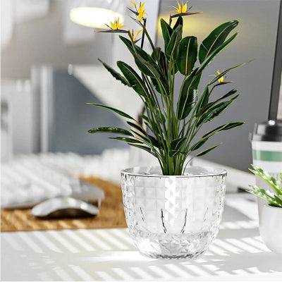 Pot de fleur transparent arrosage auto