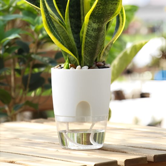 pot de fleur