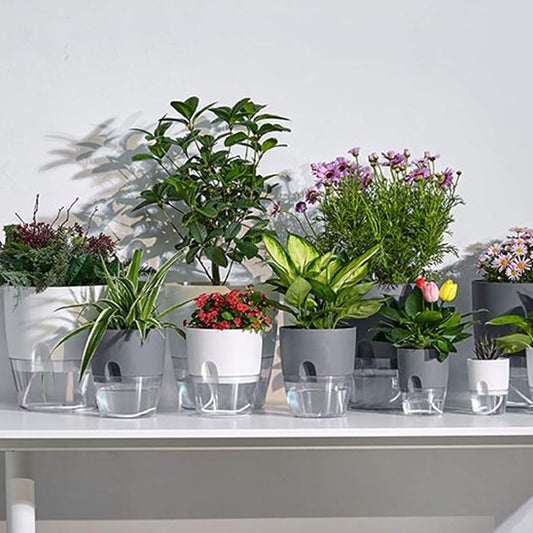 pot de fleur