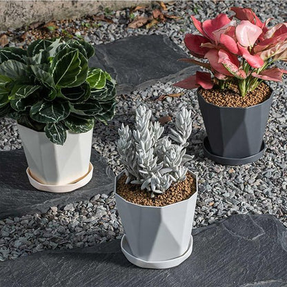 Pot de fleur 