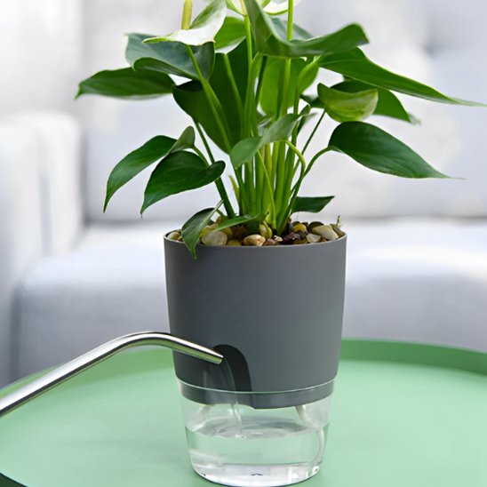 pot de fleur
