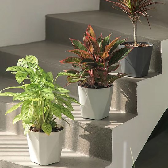 Pot de fleur 