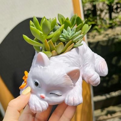 Pot de fleurs intérieur 