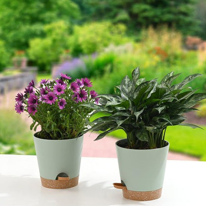 pot de fleur arrosage auto