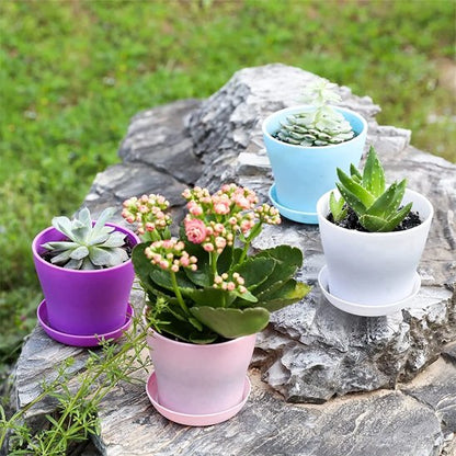 pots de fleur couleurs acidule