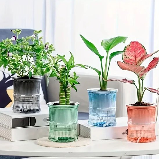 Pots de fleurs couleurs variées