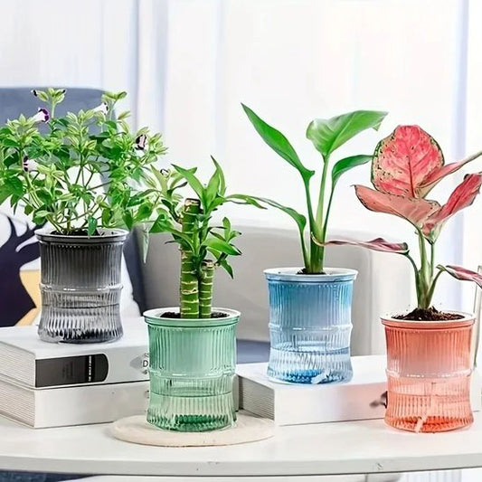 Pots de fleurs couleurs variées