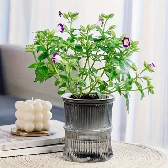 Pots de fleurs gris