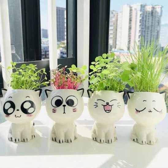 Pots de fleurs chats 4 mimiques