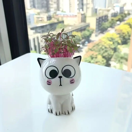 Pots de fleurs chat observateur