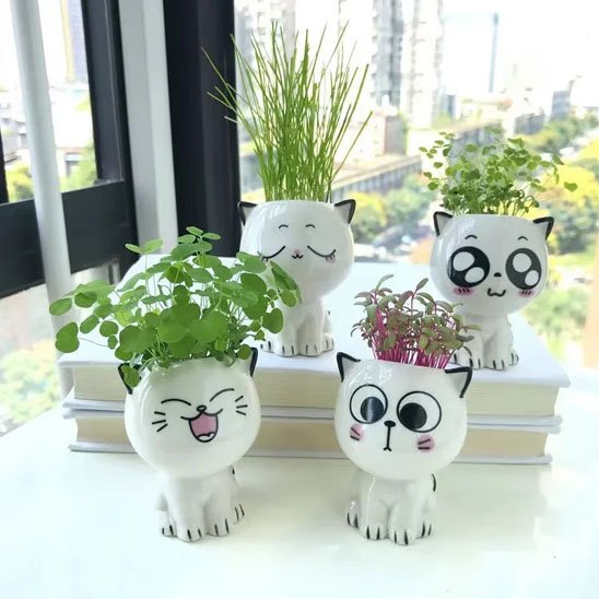 Pots de fleurs chats 4 expressions