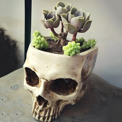 Pots de fleurs