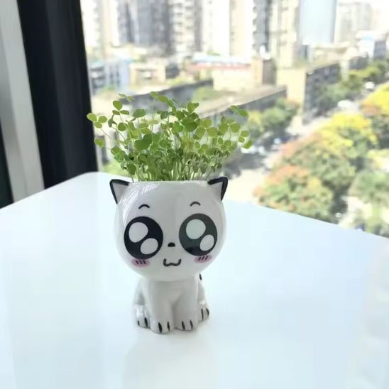 Pots de fleurs chat ému