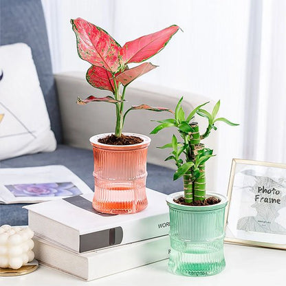Pots de fleurs 