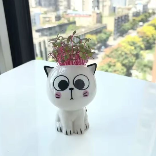 Pots de fleurs chat observateur