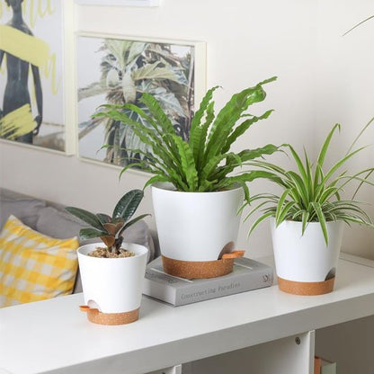 Pot de fleur | Arrosage Autonome