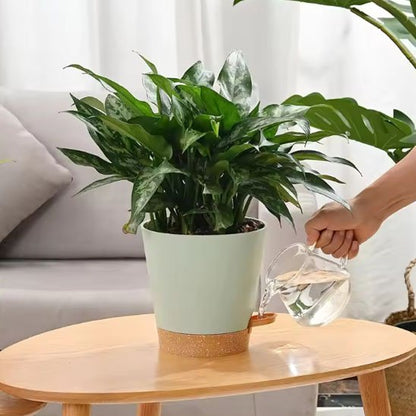 Pot de fleur | Arrosage Autonome