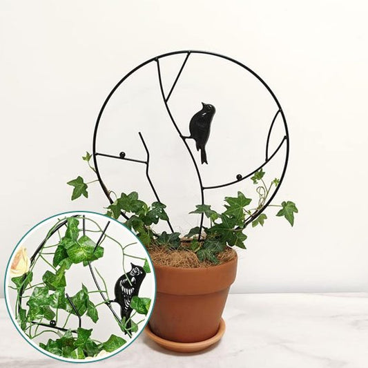 Tuteur plante grimpante | NatureTrellis™ Naturel Design