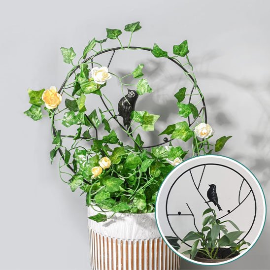 Tuteur plante grimpante | NatureTrellis™ Naturel Design
