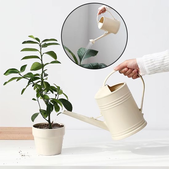 Arrosoir d'intérieur élégant | PlantStyle