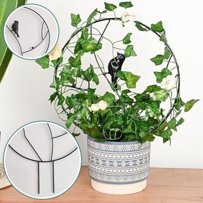 Tuteur plante grimpante | NatureTrellis™ Naturel Design