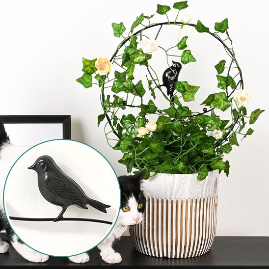 Tuteur plante grimpante | NatureTrellis™ Naturel Design