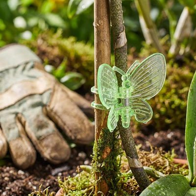 Support plante grimpante 