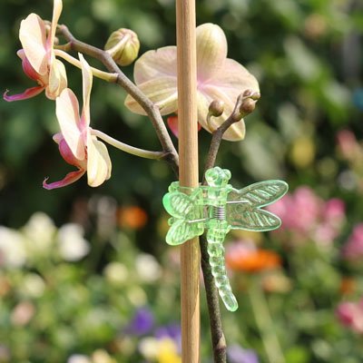 Support plante grimpante 