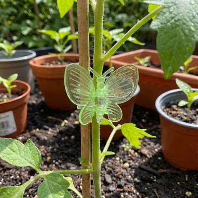 Support plante grimpante 