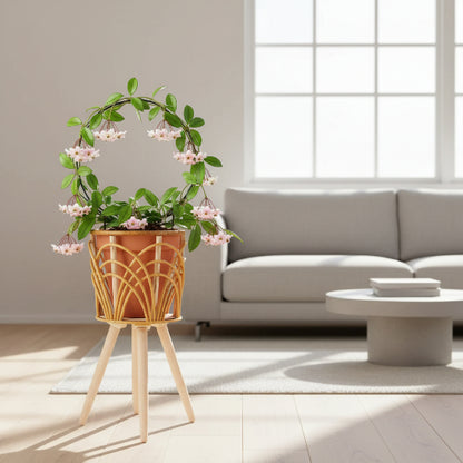 support plante rotin