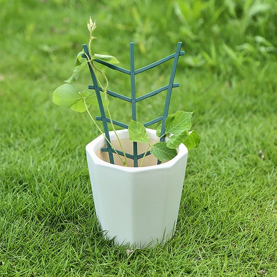 support pour plantes grimpantes