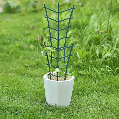 support pour plantes grimpantes