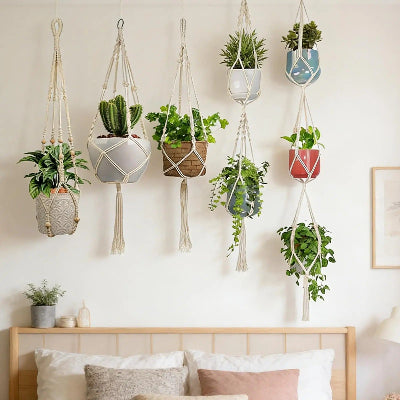 suspension plante macramé blanc chambre