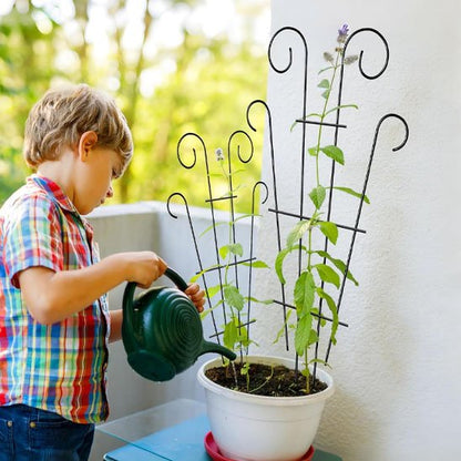 Tuteur plante grimpante