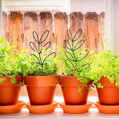 tuteur plante metalique forme feuillages